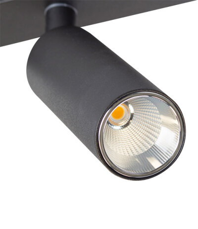 Berla Lighting Dekorring Silberfarbig f&uuml;r Leuchtenkopf &Oslash;42mm